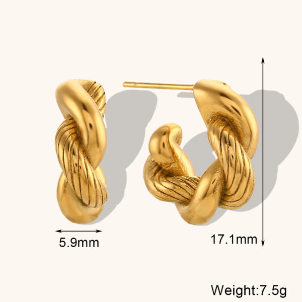 Stainless Steel 18K Gold Plated Thick Twist Earrings Fashion Personality Simple Earrings Suitable for Women to Wear - Image 4